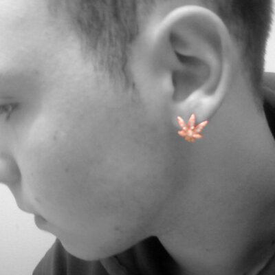 Profile Picture of Daniel Stanczak (@danielstanczak) on Twitter
