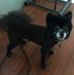 Profile Picture of Robbin Bennett (@robbin.bennett.75) on Facebook