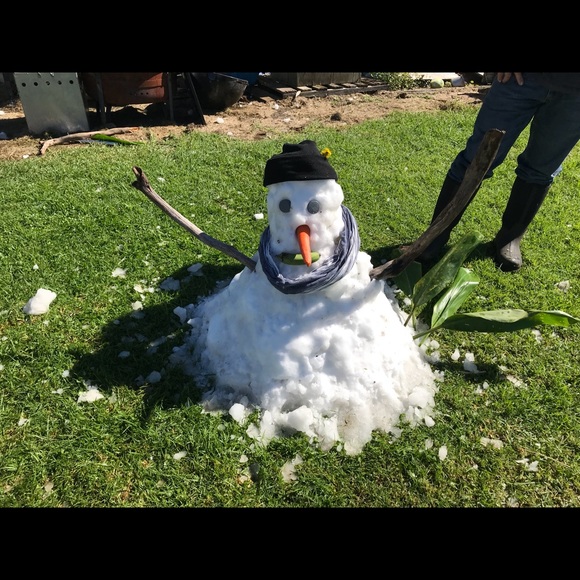 Profile Picture of Moani Bertelmann (@moani23) on Poshmark