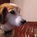 Profile Picture of Terry Hulme (@run1875150) on Pinterest