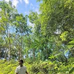 Rijan Solatorio - Facebook Profile Picture of Rijan Solatorio (@rijan.solatorio) on Facebook