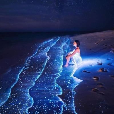 Profile Picture of Jasmine Mohammed (@ElzomrJojo) on Twitter