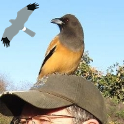 Profile Picture of Shaun Robson (@NarwhalSh) on Twitter