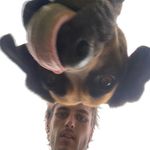 Profile Picture of sc: danielwitham (@witham_daniel) on Instagram