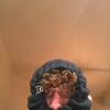 Profile Picture of Seth Kern (@lilkernydog10) on Tiktok