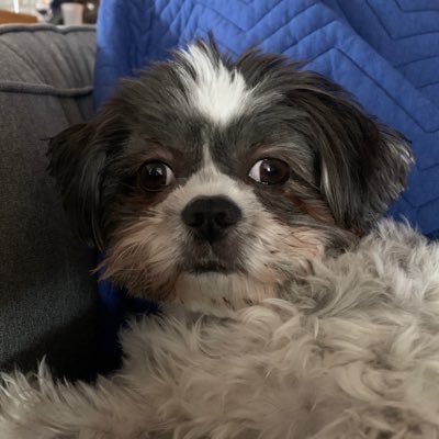 Profile Picture of Posey Parker (@Young_Nathan) on Twitter
