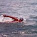 Profile Picture of afonso simoes (@afonso1652) on Pinterest