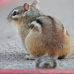 Profile Picture of Roberta Spencer (@rspencerphoto) on Flickr