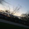 Profile Picture of Allison Hofmann48 (@allie.....spamssss) on Tiktok