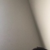 Profile Picture of BuddyWalker38 (@@budddywalker38) on Tiktok