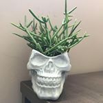 Profile Picture of Raj Dhaliwal (@_theartofraj) on Instagram