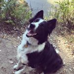 Profile Picture of Katherine Wimer (@optimus_315) on Instagram