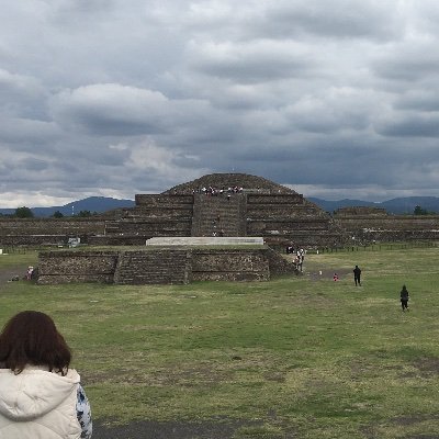 Profile Picture of Roxana Castillo (@roxana_cst) on Twitter