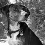 Isabel Fischer - Instagram Profile Picture of Isabel Fischer (@fischer_isabel) on Instagram