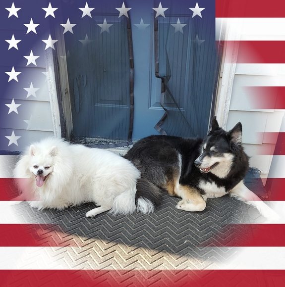 Profile Picture of Bob Chapman (@midnight8112) on Poshmark