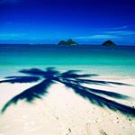 Profile Picture of Alexandra Simms (@alika.aloha) on Instagram