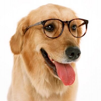 Profile Picture of Jacob Crocker (@Crackerjack755) on Twitter