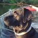 Profile Picture of Bert Bowers (@bowersbert14) on Pinterest