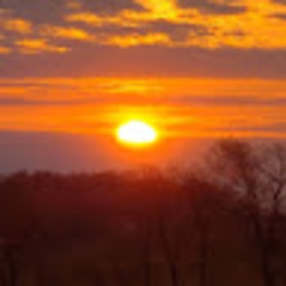 Profile Picture of Corey Davies (@coreydavies) on Poshmark