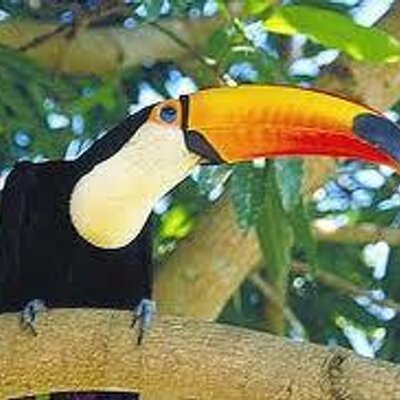 Profile Picture of Claudio Bellini (@ClaudioBellini3) on Twitter