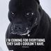Profile Picture of Craig Hodge (@craig.hodge.585) on Facebook