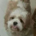 Profile Picture of Stanley Travis (@stanley.travis.948) on Instagram