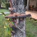 Profile Picture of John Brodmann (@John-Brodmann) on Facebook