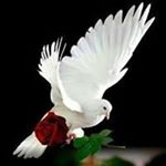 Profile Picture of Begonia Garcia (@garcia.begonia) on Instagram