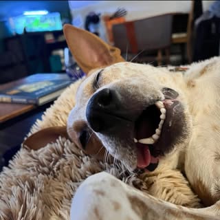 Profile Picture of Alex Tong (@alextong1) on Instagram