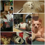 Profile Picture of Claudia Hofbauer (@Claudia-Hofbauer) on Facebook