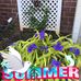 Profile Picture of Joyce Kopp (@joyce.kopp.581) on Facebook