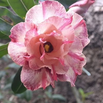 Profile Picture of Claudio Michele (@ClaudioMichele6) on Twitter