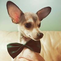 Profile Picture of James Padgett (@james-padgett-3) on Quora