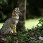Profile Picture of Hermann Fuchs (@hermann.fuchs.52) on Facebook