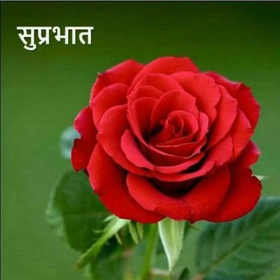 Profile Picture of Neelam Choudhary (@Neelamc48141907) on Twitter