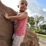 Profile Picture of Janet Langerud-Dorce (@dorcejanet) on Instagram