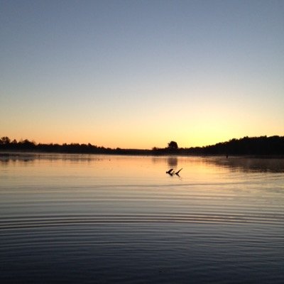 Profile Picture of Pointer (@TravisWollenber) on Twitter