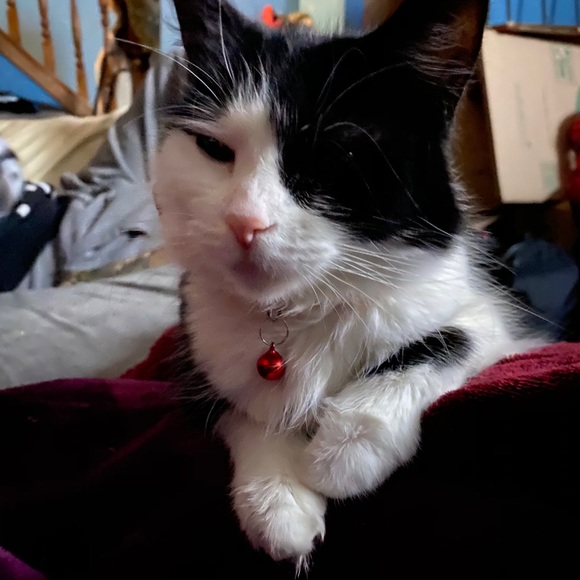 Profile Picture of Chloe Fowler (@chloefowler777) on Poshmark