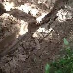 basore - Instagram Profile Picture of basore (@wig.gad) on Instagram