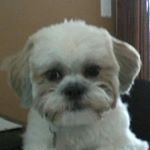 Profile Picture of Owen CHAPMAN (@owen_16_007) on Instagram