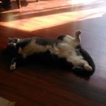 Profile Picture of André Chénier (@andrechenier1) on Instagram