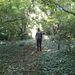 Profile Picture of Eamon McGinn (@eamon0621) on Pinterest