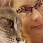 Profile Picture of Jessica Mattfield (@jessicamattfield) on Instagram