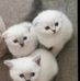 Profile Picture of Karin Hopper (@karin.hopper.568) on Facebook