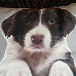 Profile Picture of Linda Wickham (@lwickham3545) on Instagram