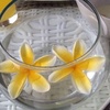 Profile Picture of Joan Zhang (@@joanzhang3) on Tiktok