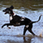 Profile Picture of Lea Jones (@la jones) on Flickr