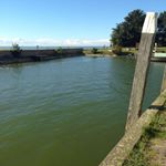 Profile Picture of Dieter Fuchshofen (@dieterfuchshofen) on Instagram