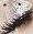 Profile Picture of Marilyn Kuipers (@marilyn.kuipers.5) on Facebook