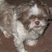 Profile Picture of Peggy Kaufman (@peggy.kaufman.71) on Facebook